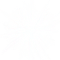 pla-estrella.png
